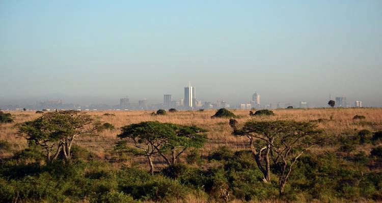 Un paisaje de sabana con el horizonte de una ciudad al fondo.