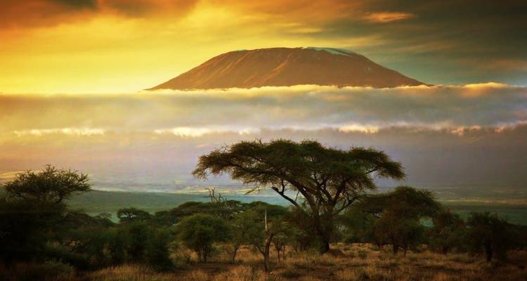 Berg Kilimanjaro getooid met wolken tijdens een gouden zonsondergang.