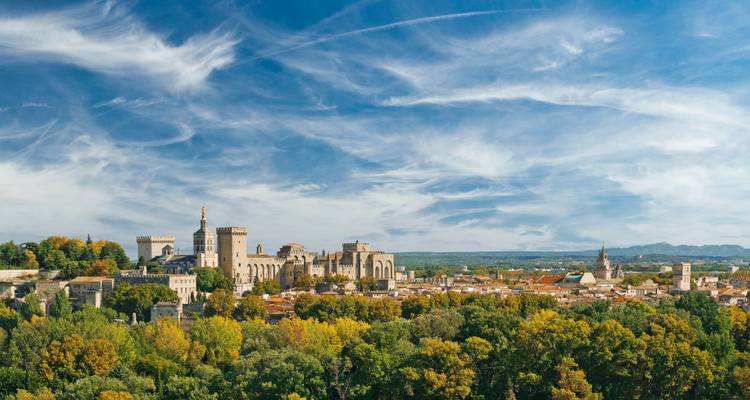 Wide aerial view of Avignon with the Papal Palace rising above treetops under a sky streaked with high clouds.