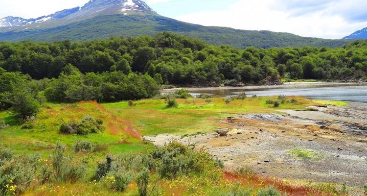 Un paisaje verde exuberante con una montaña y río o lago en el Parque Nacional Tierra del Fuego.