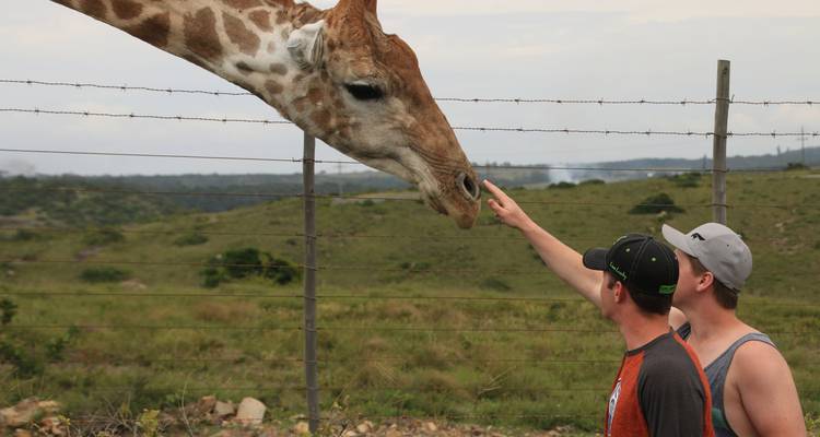 South Africa – 20 Day Wild Coast, KwaZulu-Natal, Kruger National Park - Latitude 31 Travel and Music (Pty) LTD.