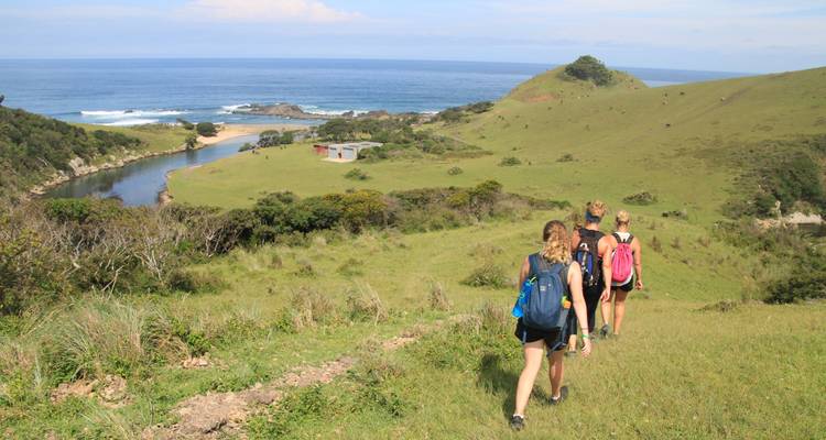 40 Day Odyssey – Cape Town, Garden Route, Wild Coast and Kruger National Park - Latitude 31 Travel and Music (Pty) LTD.
