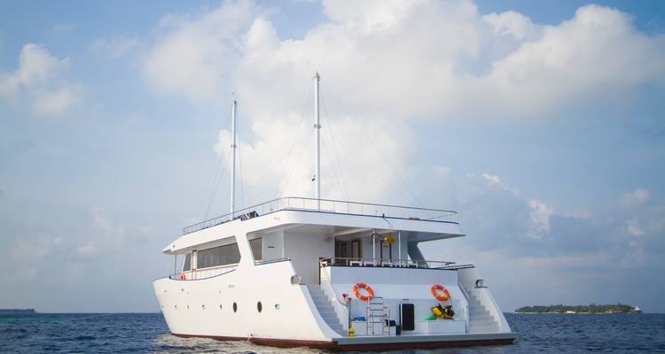 Vue arrière d'un bateau de croisière blanc avec des bouées de sauvetage sur fond de mer et de ciel bleus.