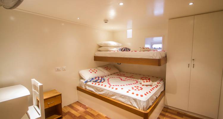 Cabine compacte twin-plus-lits superposés avec lits décorés de pétales en forme de cœur à bord d'un bateau.