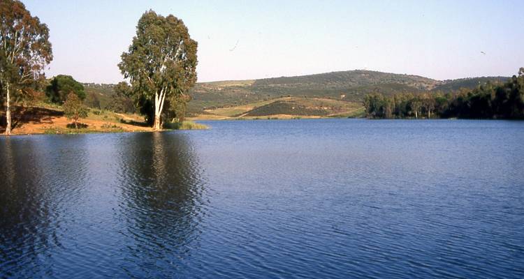 A serene lake with trees in the background.