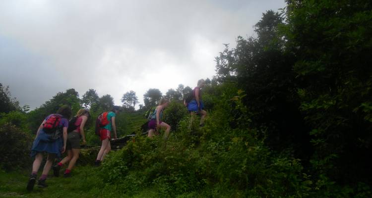 Groep wandelaars die een weelderig groen pad beklimmen.