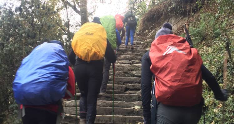 Hikers climbing stone steps on a forested trail.
