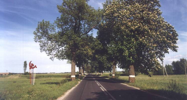Four Countries Guided Cycling Tour along The Baltic Coast: Latvia - Lithuania - Russia (Kaliningrad District) - Poland - Baltic Bike
