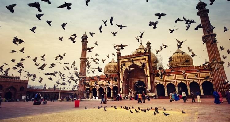 Grand mosque courtyard filled with flying pigeons under a warm sky, with visitors scattered around.