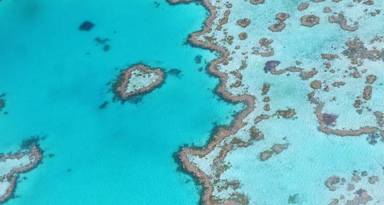 Aerial view of heart-shaped coral formations in the turquoise Great Barrier Reef.