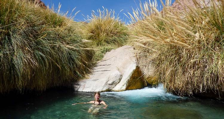 A person enjoying a dip in a natural pool with vegetation around.
