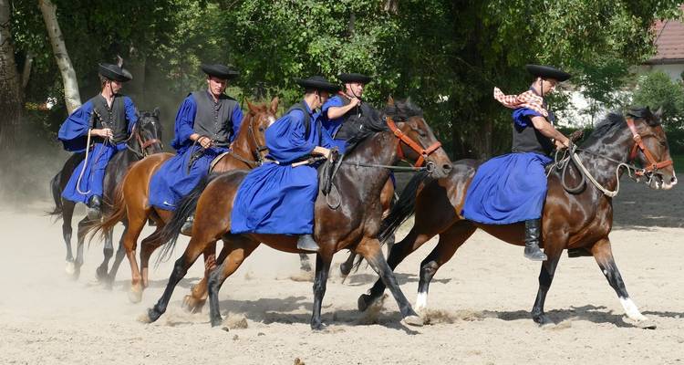 Evento cultural con jinetes a caballo vistiendo atuendo tradicional.