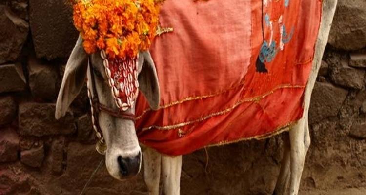 Images of North India :5 Days Tour of Delhi - Agra & Jaipur - India Arrivals Tours
