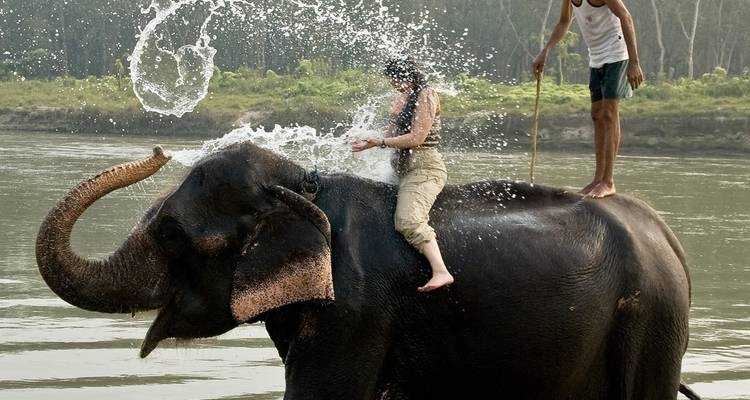 Elefante rociando agua sobre una persona que disfruta de un baño en el río.