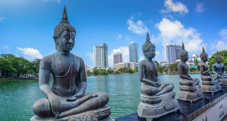 Tour of Ancient Sri Lanka - Panoramic Tour & Travels
