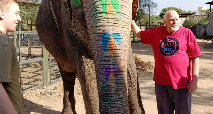 Un hombre interactuando con un elefante pintado en un recinto.