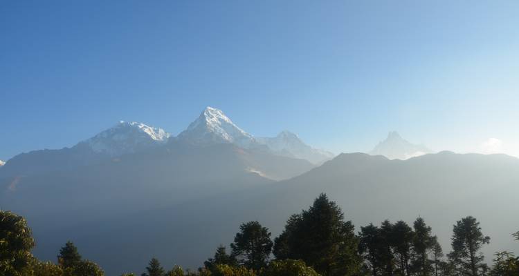Schneebedeckte Berggipfel und Kiefern unter einem klaren blauen Himmel.