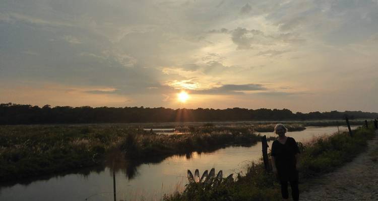 Person, die einen Sonnenuntergang über einer ruhigen Waldszene beobachtet.