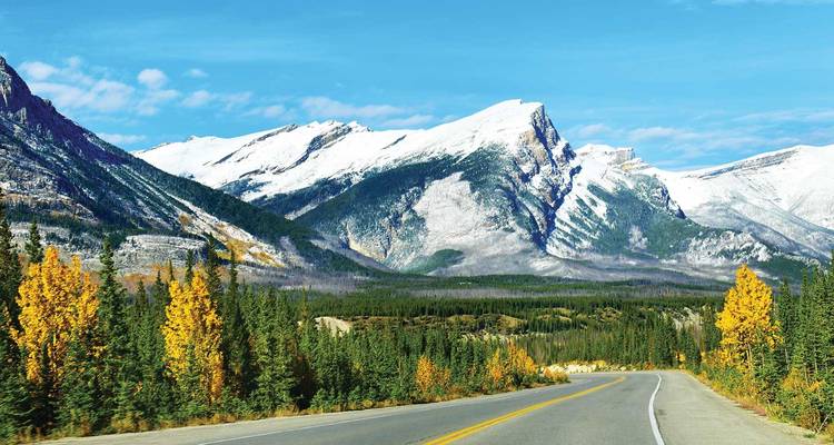Scenic autumn road leading toward snow-covered peaks and colourful forests along the Icefields Parkway