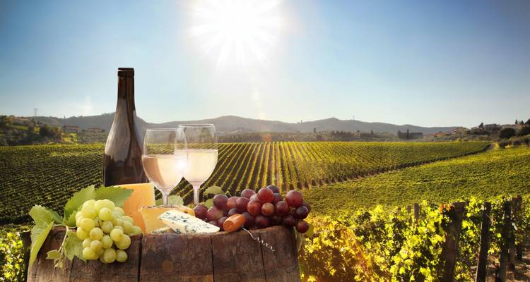 Vineyard landscape with wine, grapes, and cheese
