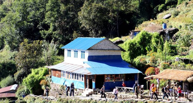 Una casa de huéspedes en una zona verde y montañosa con gente caminando.