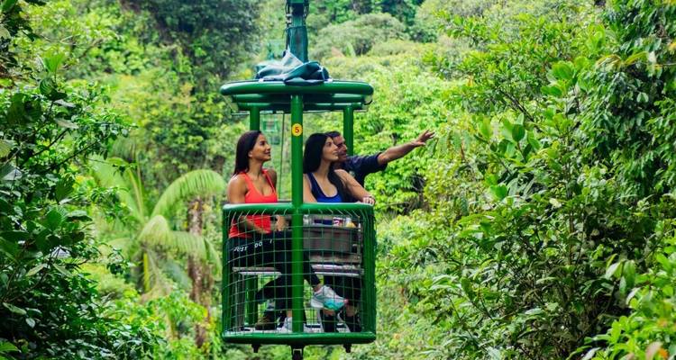 People enjoying a canopy tour ride in a lush forest.