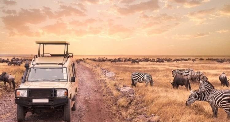 Best of Tanzania & Zanzibar - Alaitol Safaris Ltd