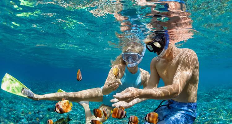 Twee snorkelaars verkennen helder tropisch water en reiken naar kleurrijke vissen tussen levendige koraal.