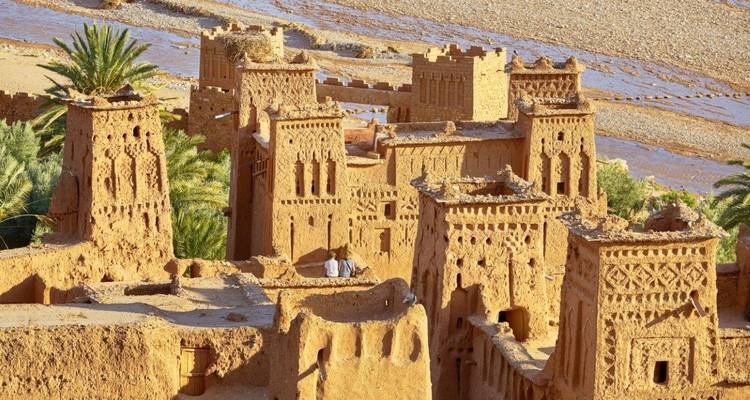 Anciens bâtiments en briques de terre crue avec des détails complexes et des palmiers dans une oasis du désert.