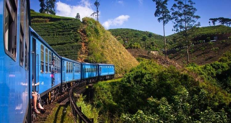 Train traversant de luxuriantes plantations de thé verdoyantes.