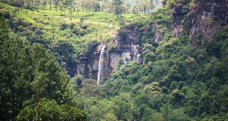 Cascade lointaine entourée d'une forêt dense et verdoyante.