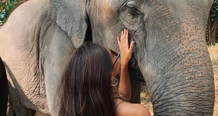 Close-up of woman gently touching an elephant’s face in a natural setting.