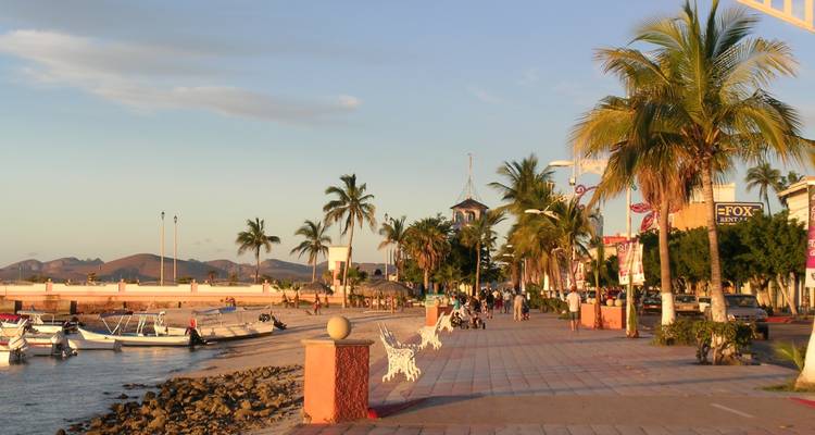 Paseo marítimo bordeado de palmeras con gente caminando y barcos atracados.