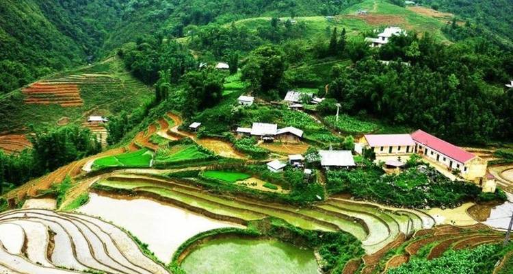Vista aérea de un paisaje en terrazas con arrozales y casas pequeñas.