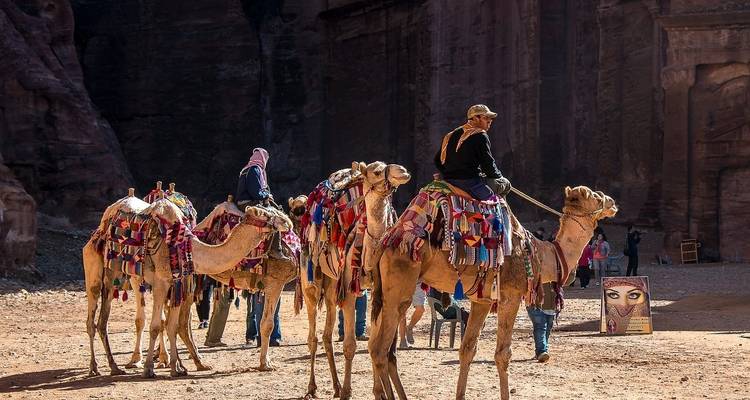 Group of people riding camels, richly decorated, with a rugged landscape.