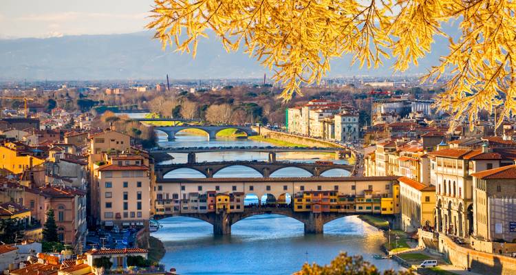 Vista panorámica invernal de Florencia con ramas de árboles dorados enmarcan el Ponte Vecchio y los puentes del Arno.