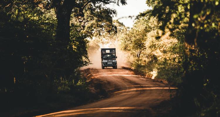 Voertuig rijdt over een stoffige weg in een bos.