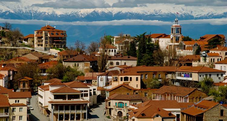 Un pueblo pintoresco con montañas al fondo.