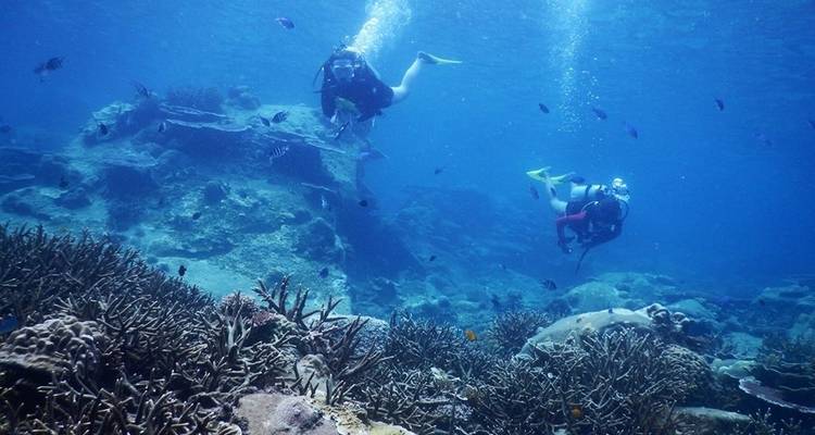 Perhentian Marine Research Station - Conservation in Action (3 weeks) - Fuze Ecoteer Outdoor Adventures