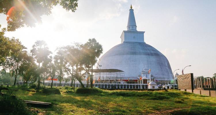Große Stupa mit einer Turmspitze, umgeben von Grün und von der Sonne hinterleuchtet.