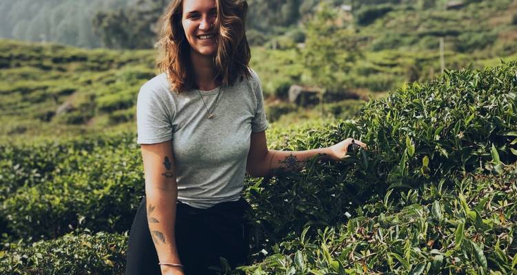Person, die in einer üppigen grünen Teeplantage steht.