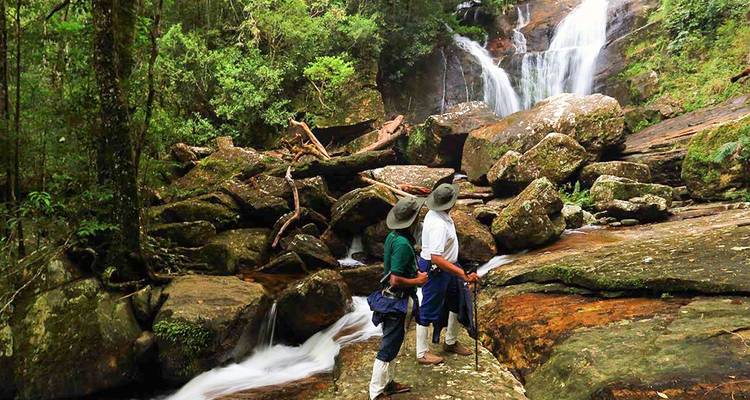 Zwei Menschen beobachten einen Wasserfall in einer Waldumgebung.