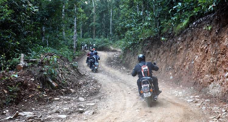 Motorrijders die rijden op een bospad.