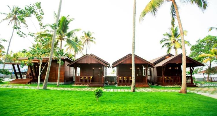 Holzhütten, umgeben von Palmen und üppigem Gras.