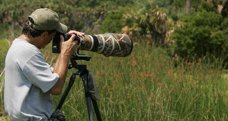 Un photographe avec un grand objectif d'appareil photo visant à capturer la faune dans un environnement naturel.