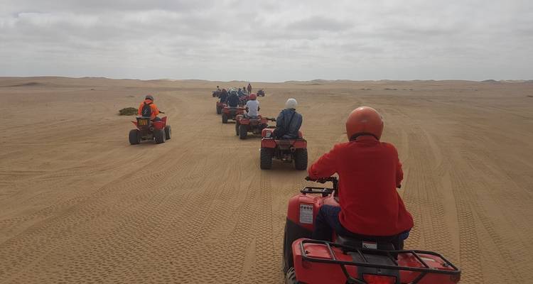 A group of people riding quad bikes in a desert landscape.