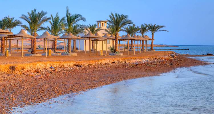 Scène de plage isolée à Hurghada avec palmiers et parasols en paille.