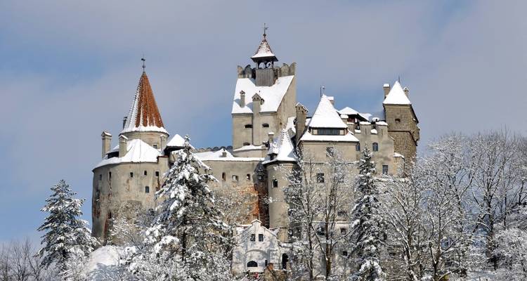 Château de Bran enneigé entouré d'arbres.
