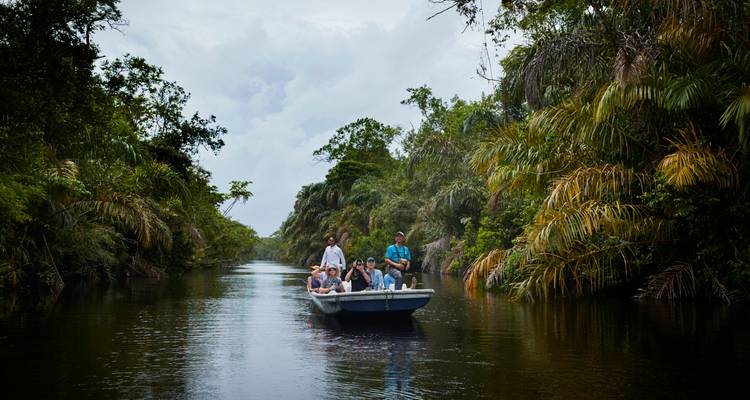 Un petit bateau avec des touristes glisse dans un canal de la jungle entouré de palmiers luxuriants.