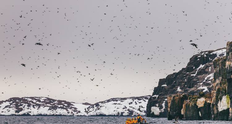 Zodiacs cruise below bird-crowded cliffs while thousands of seabirds fill the grey sky.
